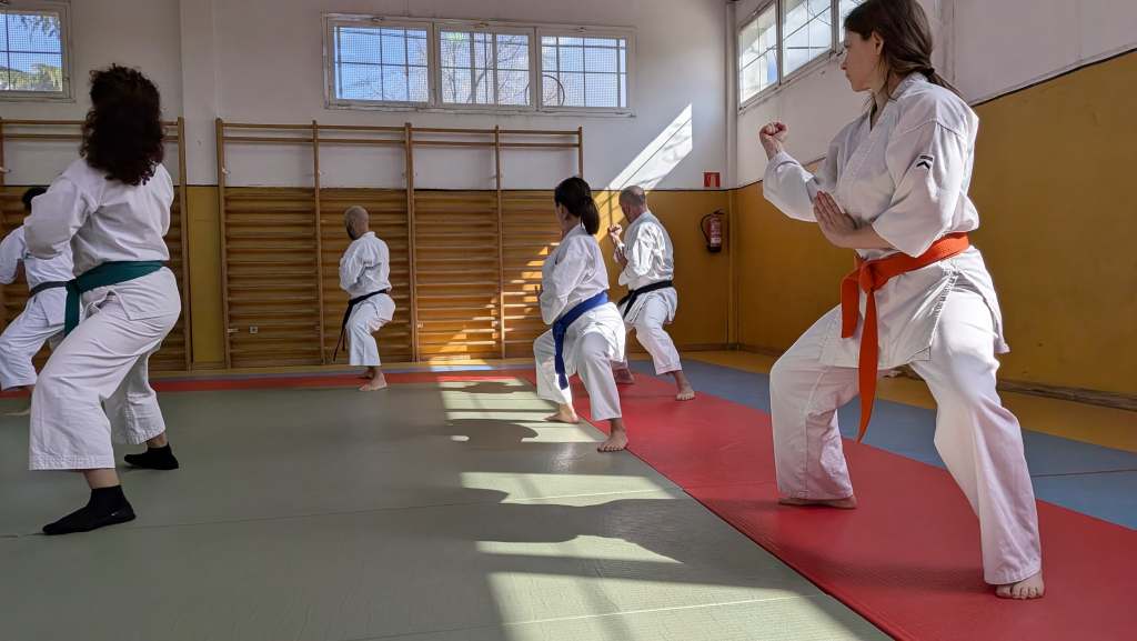 Curso kata Saifa
